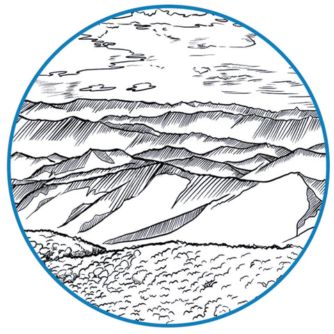 Formula 5 Oil 50 ml - Rooster