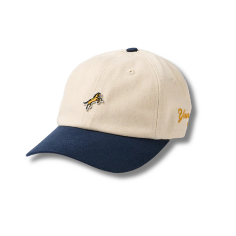 Bozeman Dad Hat