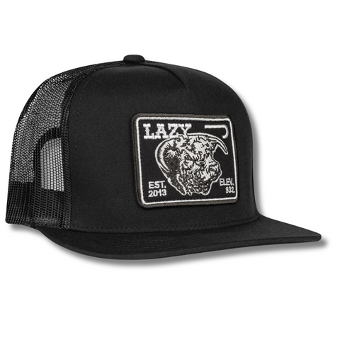 Black Elevation Classic Trucker