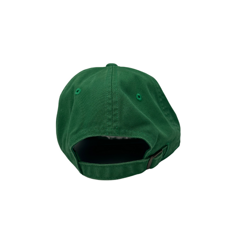 Arizona Dad Hat