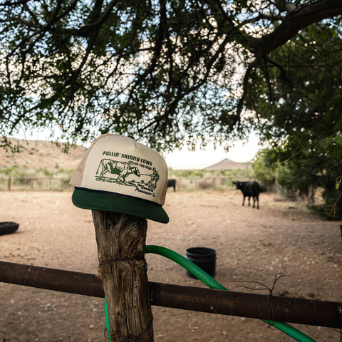 Person wearing the Sendero Skinny Cows Hat in Cream and Green in a fun, casual outdoor setting with a playful vibe