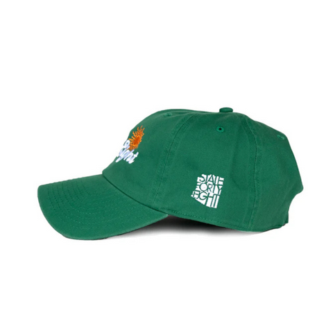 Side view of State Forty Eight Dad Hat Sunny in Kelly Green showing curved brim and relaxed low-profile fit
