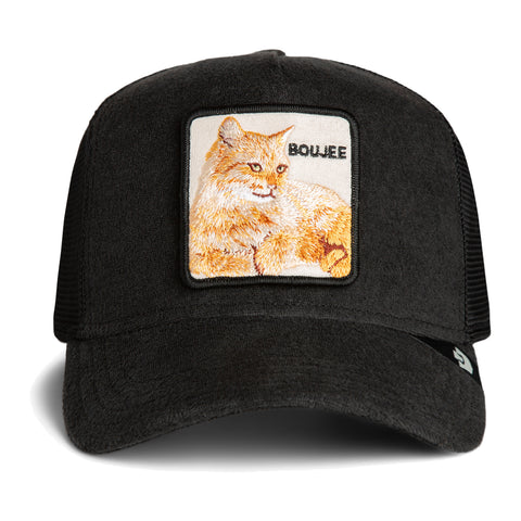 Terry Cloth Cat