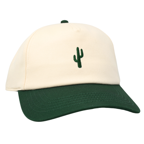 Mini Cactus Roscoe Two Tone Green - TopIt
