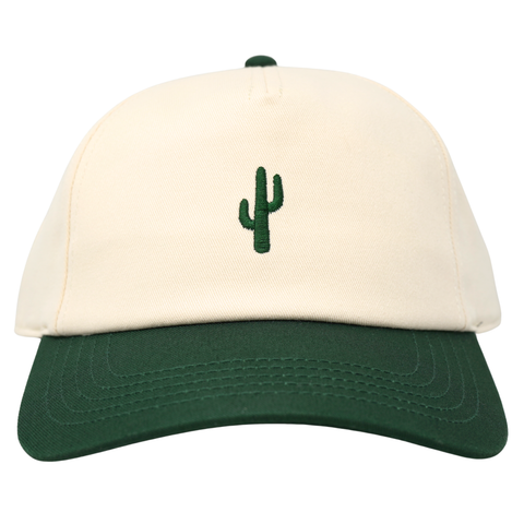 Mini Cactus Roscoe Two Tone Green - TopIt