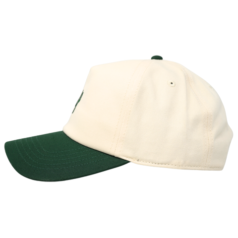 Mini Cactus Roscoe Two Tone Green - TopIt
