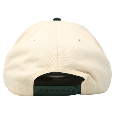 Mini Cactus Roscoe Two Tone Green - TopIt