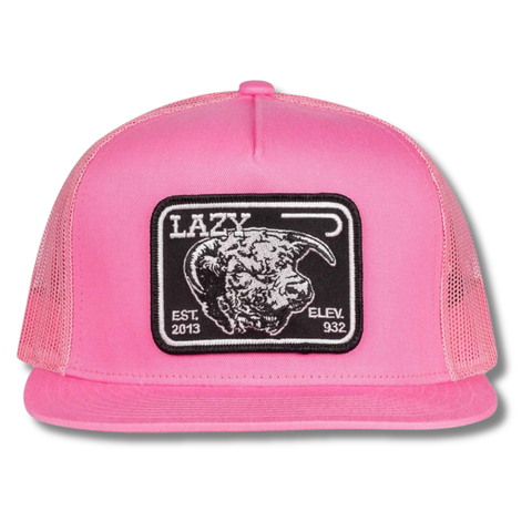 Pink & white Elevation Trucker