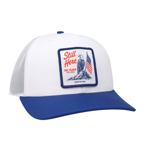 Still Here 250 Years Freedom Trucker