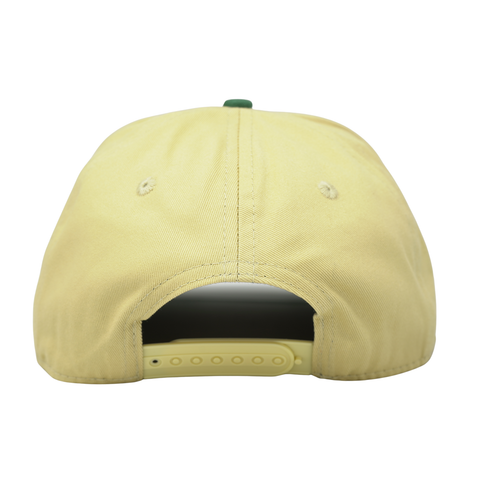 The "Up Top" Snapback