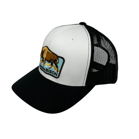 American Bison Trucker