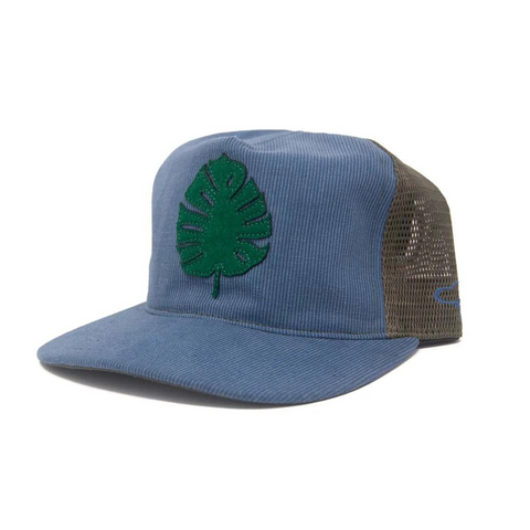 Monstera Trucker