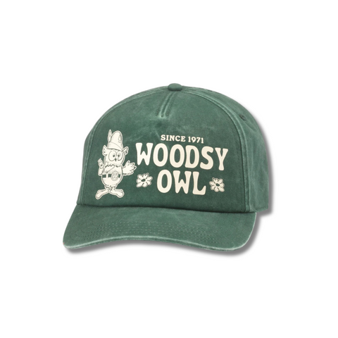 Woodsy Owl Walker