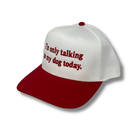 Im Only Talking To My Dog Today