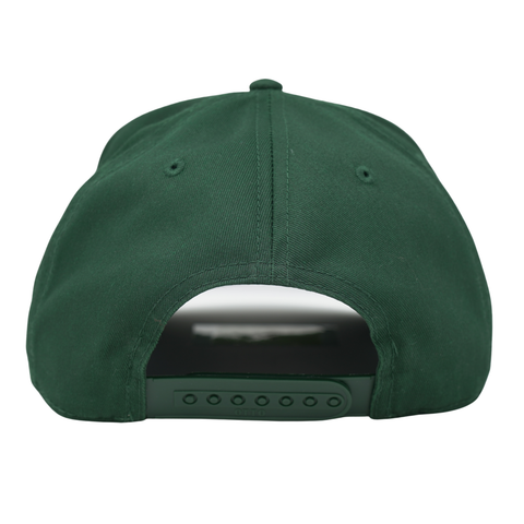 put it on my husbands tab - green - TopIt